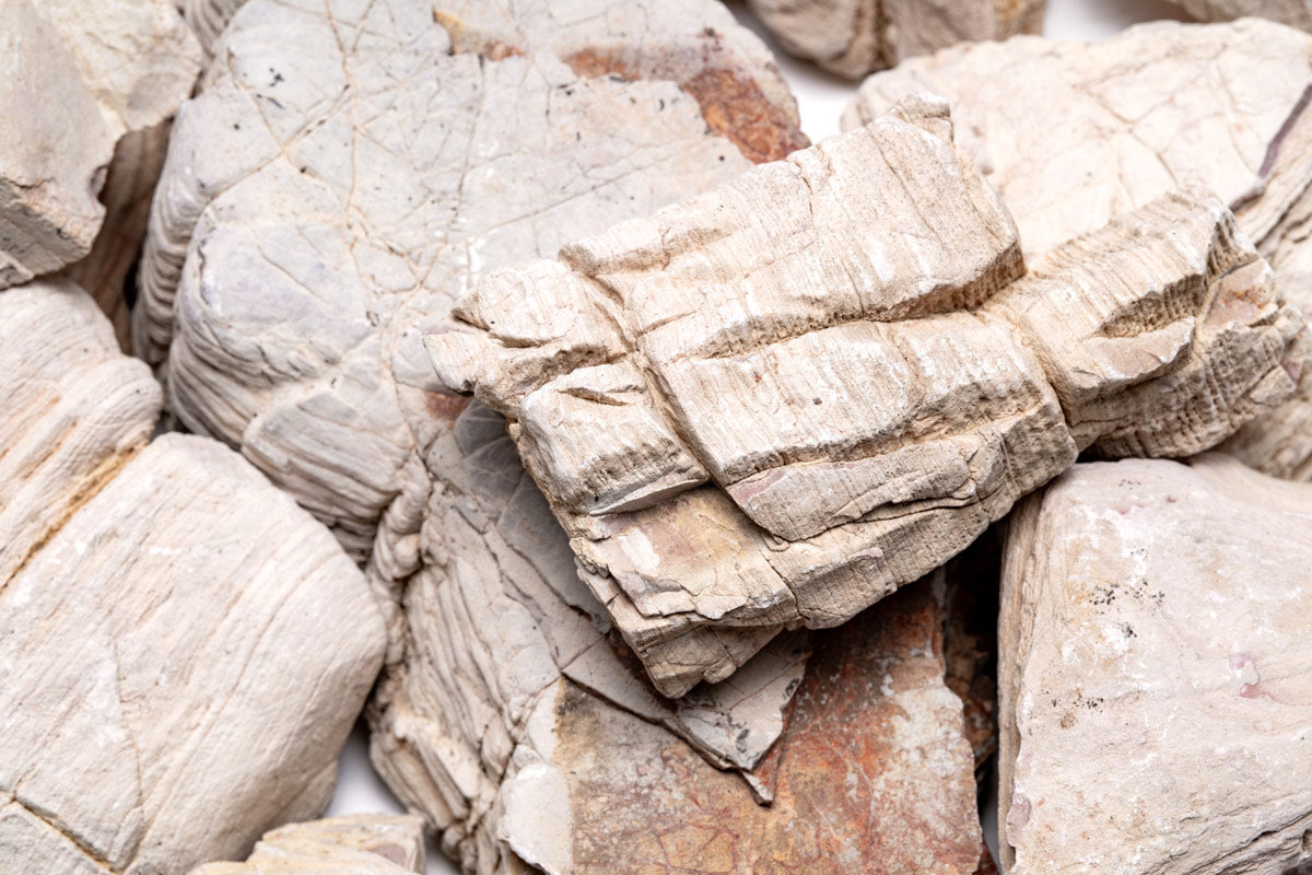 Close-up image of Sand Stone natural aquarium hardscape showing weathered texture and color palette
