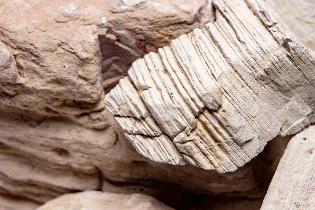 Close-up of natural Sand Stone aquarium hardscape showing layered texture and color