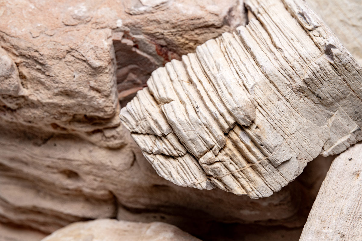 Close-up of natural Sand Stone aquarium hardscape showing layered texture and color