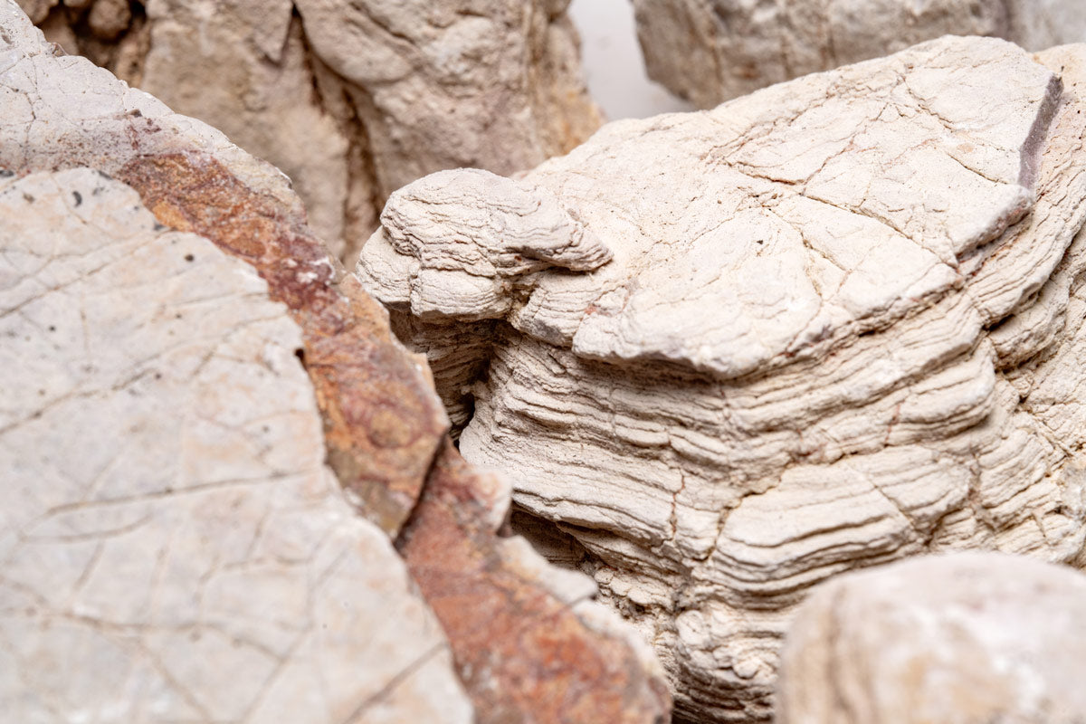 Close-up of natural Sand Stone aquarium hardscape showing shape and color