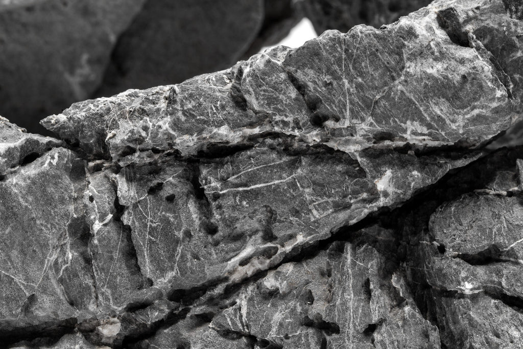 Seiryu Base Stone