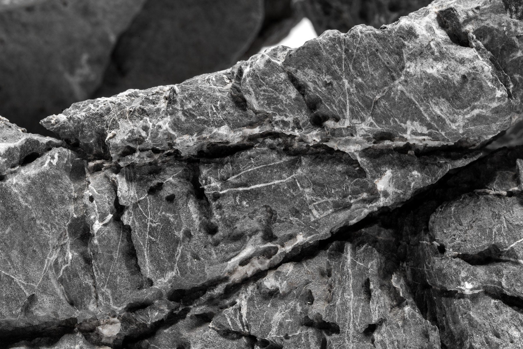 Seiryu Base Stone