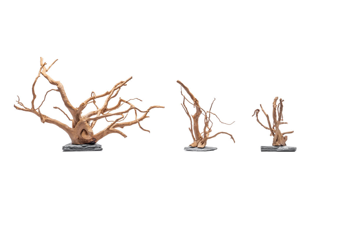 Spider Wood on Slate Stone | Shop Planted Tank Hardscape - Glass Aqua