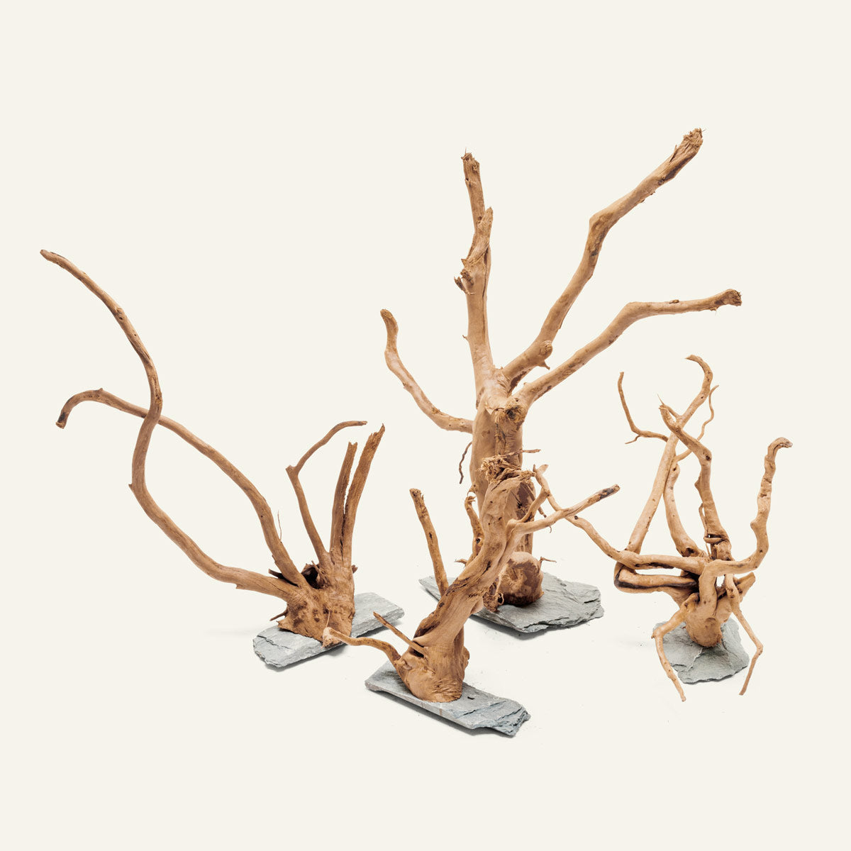 Spider Wood on Slate Stone - Glass Aqua