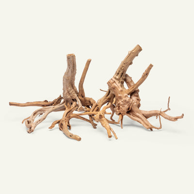 Spider Wood Nano