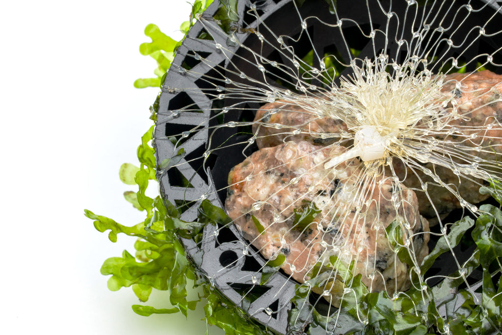 Subwassertang Attached to Aquarium Decor with Fish Net and Natural Stones