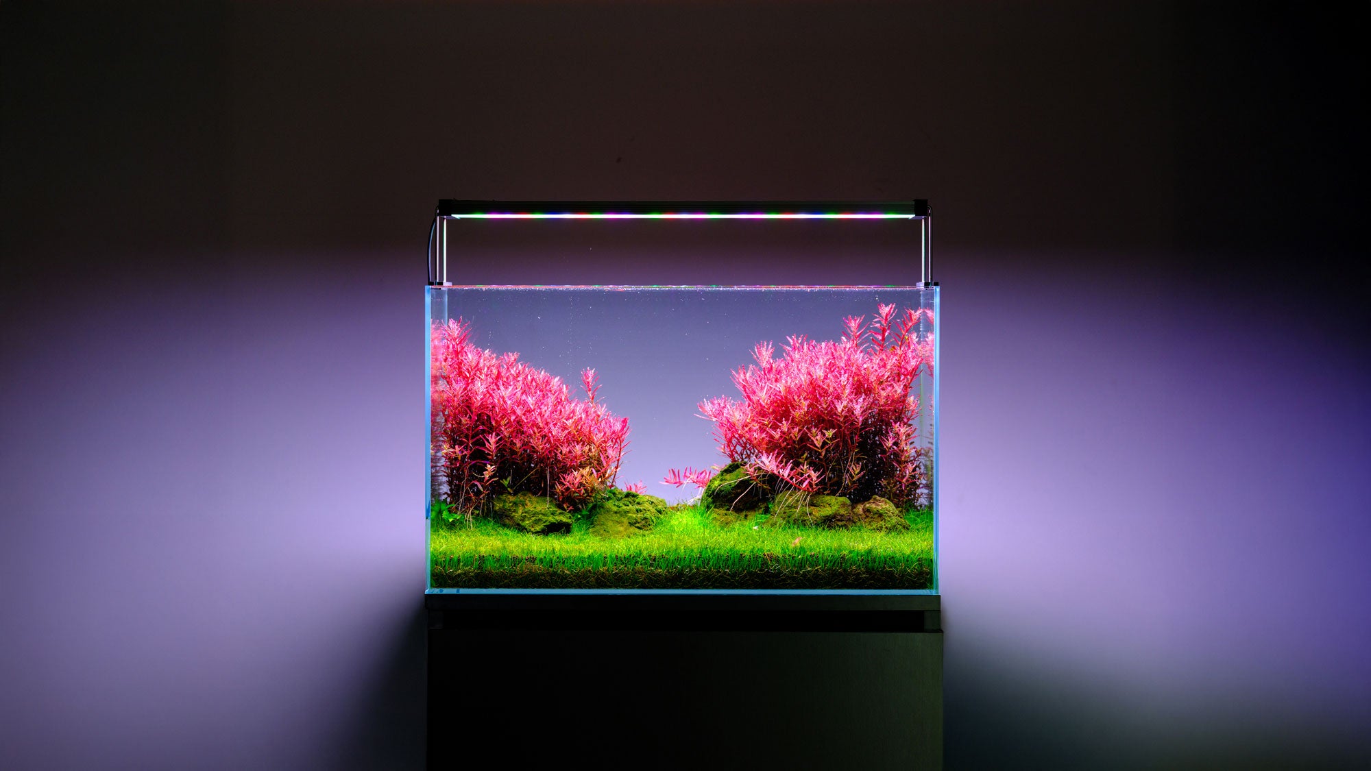Twinstar Aquarium Light - S V Series | Glass Aqua