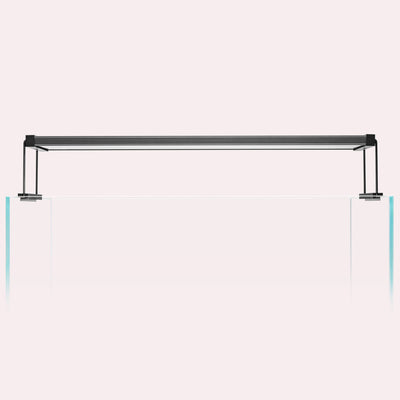 Twinstar LED Lighting for Planted Aquariums and Aquascaping