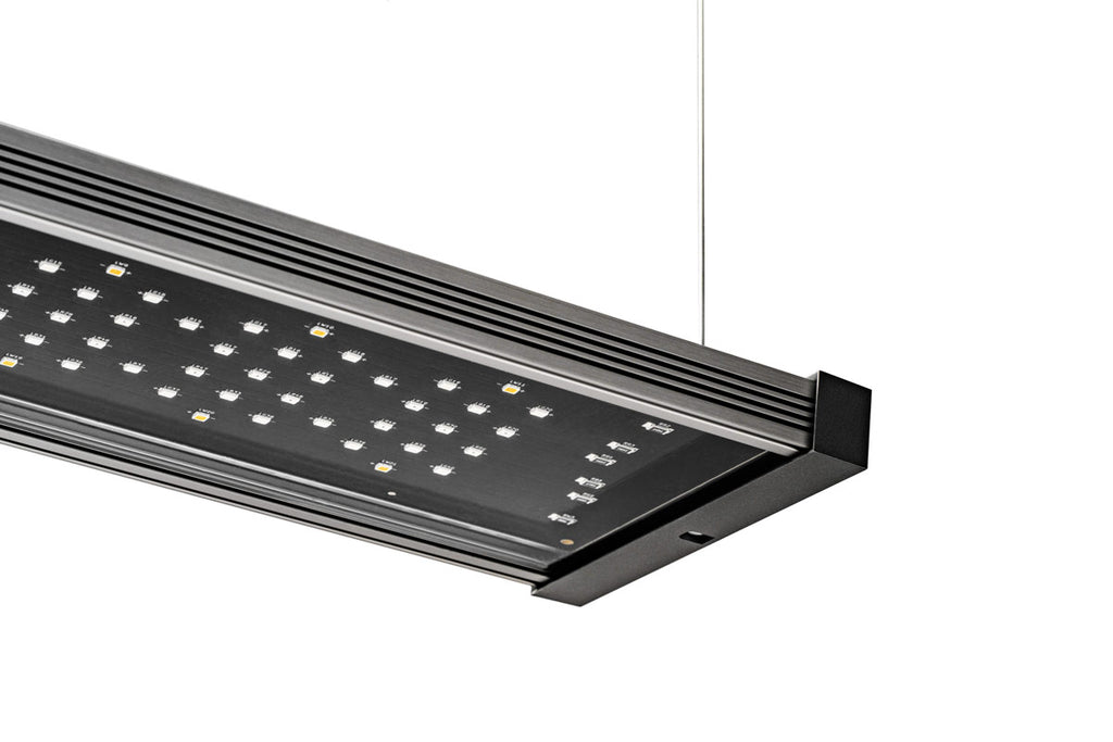 Twinstar Light Hanging Wire Kit | Twinstar S IV LED Light - Glass Aqua