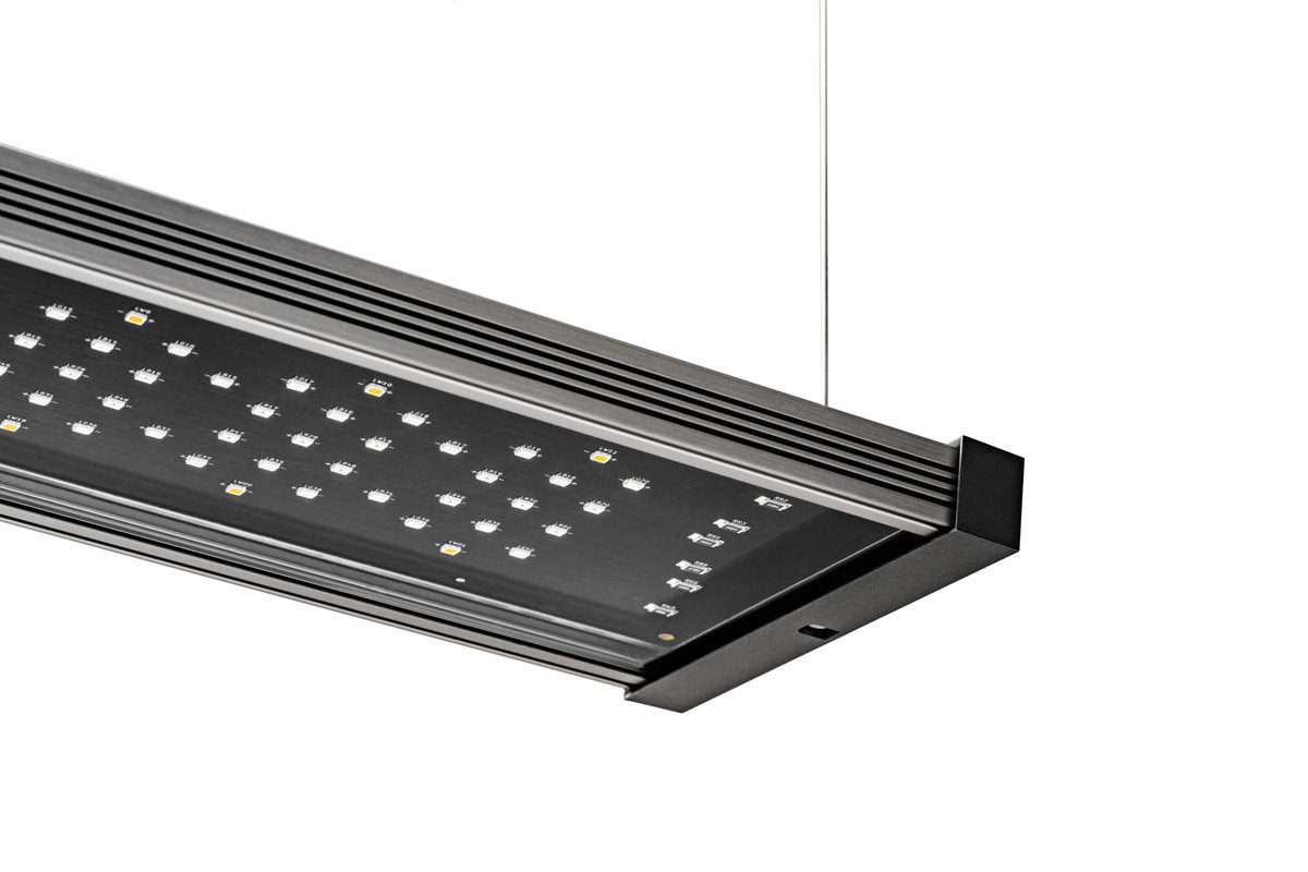 Twinstar Light Hanging Wire Kit | Twinstar S IV LED Light - Glass Aqua