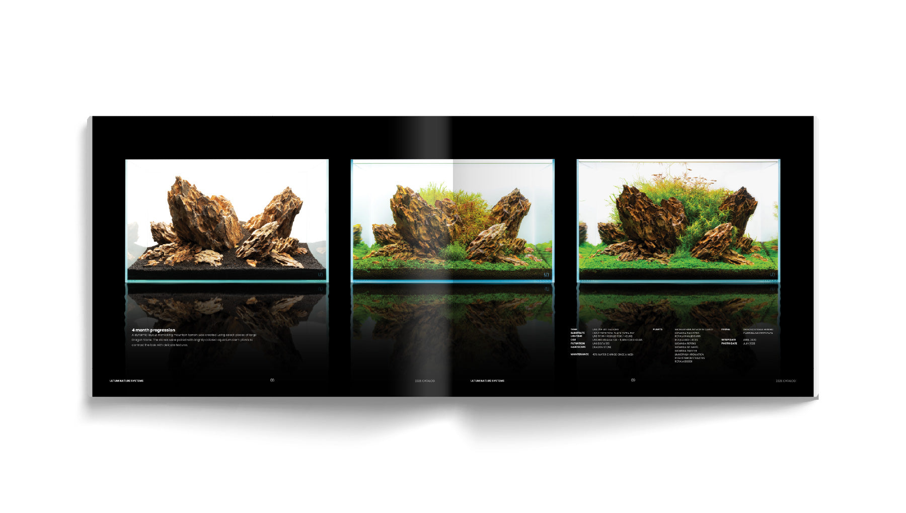 Three-panel aquascape evolution in the Ultum Nature Systems catalog book