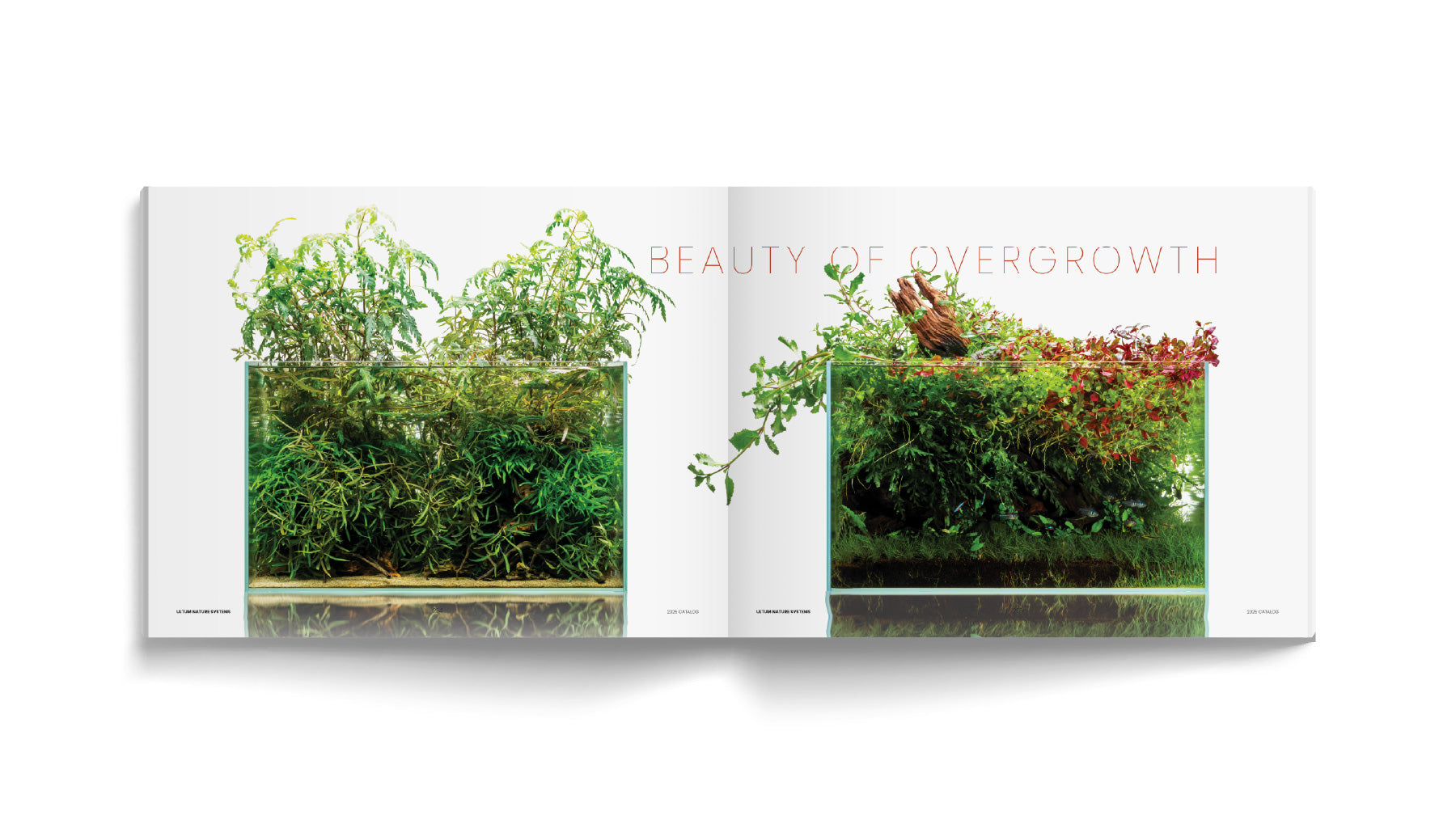 Open book showcasing an Ultum Nature Systems planted aquarium in the UNS 60U rimless tank