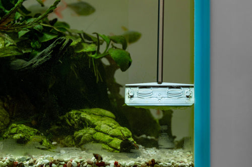 UNS Pro Algae Scraper