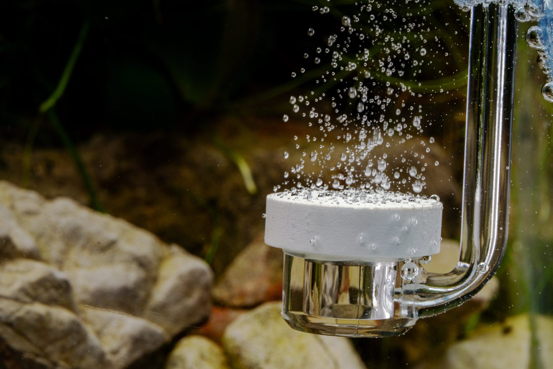 UNS CO2 Diffuser for aquarium plants, planted tanks and aquascaping