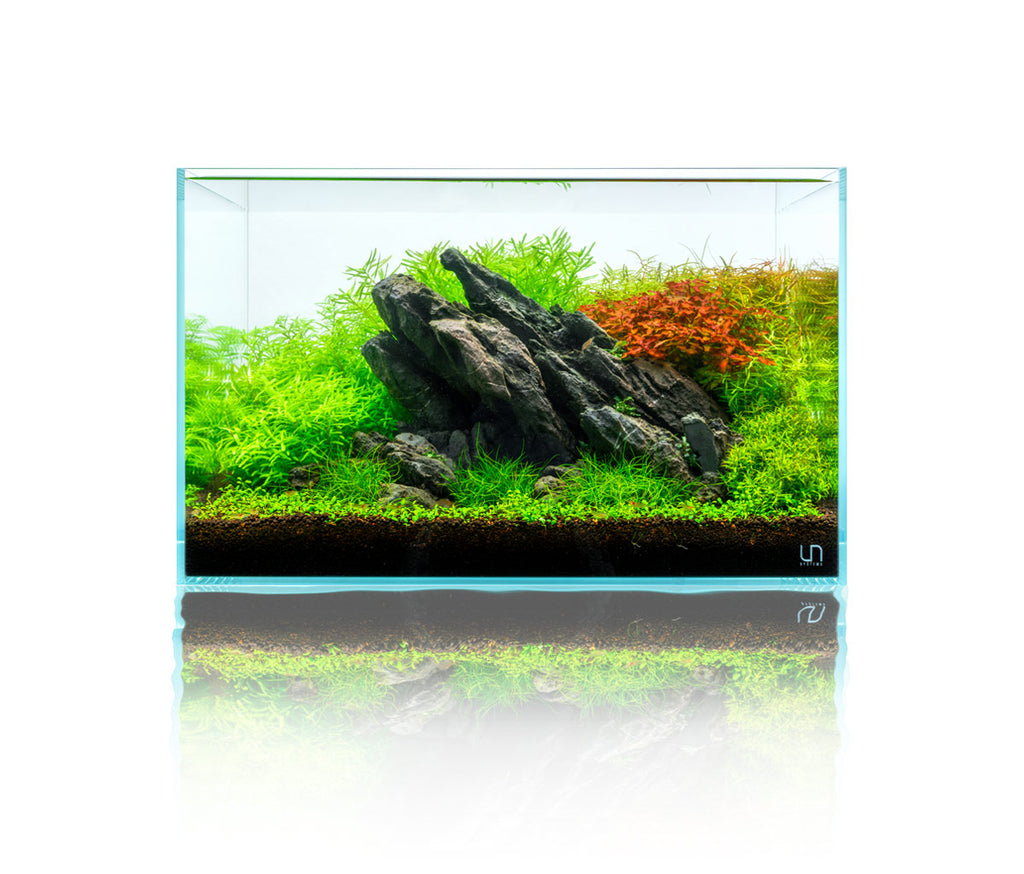 UNS Strata Type 1 in UNS 45U 9.3 gallon planted aquarium