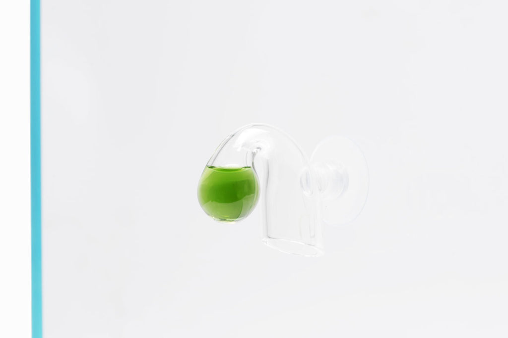 UNS Drop Checker - Glass Aqua