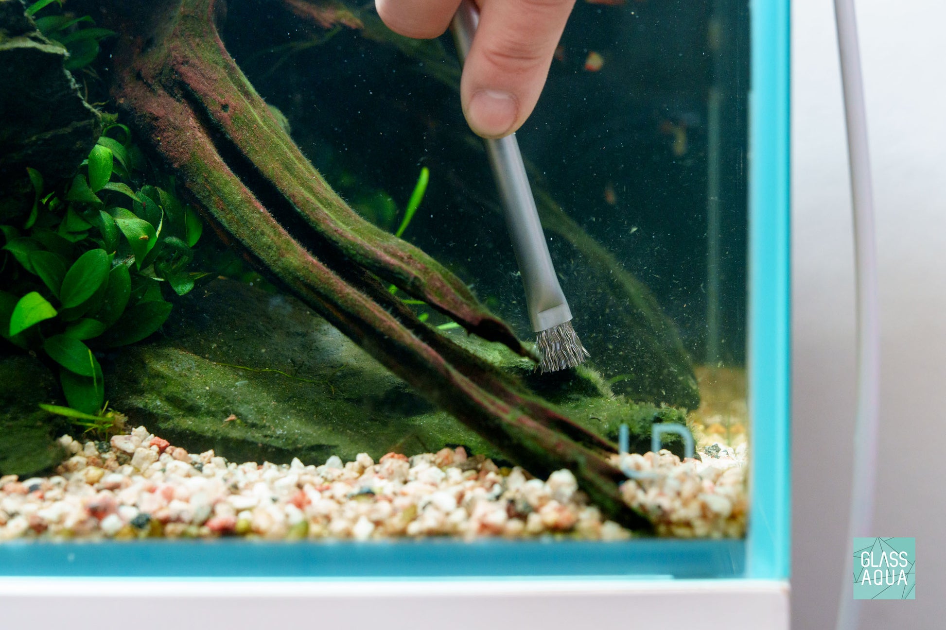 Ultum Nature Systems UNS Aquascaping Maintenance Tool Algae Brush Set - Soft