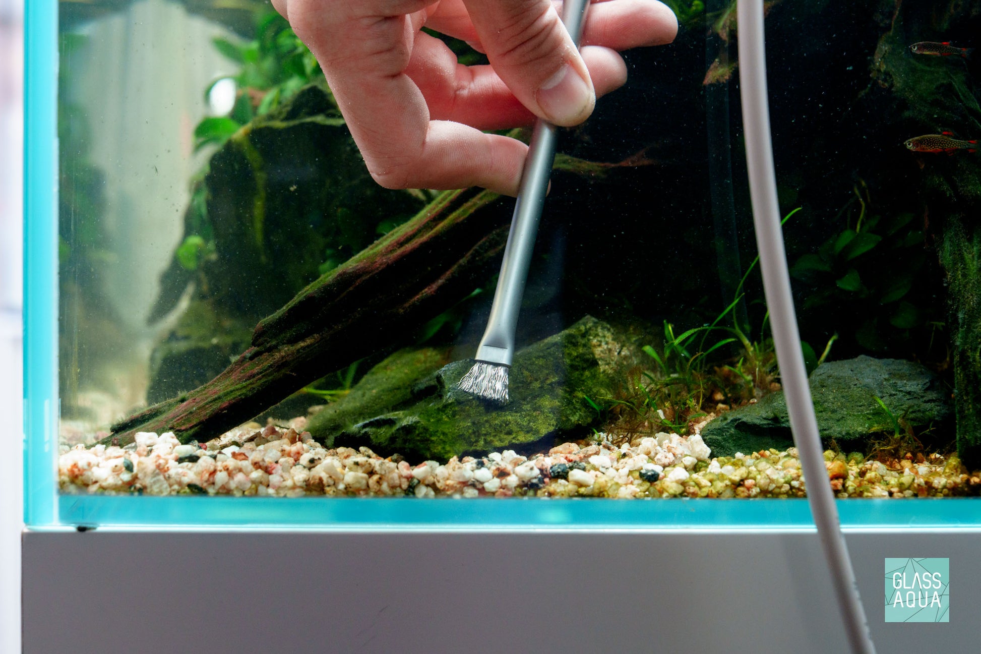 Ultum Nature Systems UNS Aquascaping Maintenance Tool Algae Brush Set - Soft