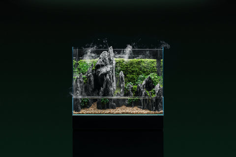 UNS Foresta Integrated Paludarium | Shop UNS Paludariums - Glass Aqua