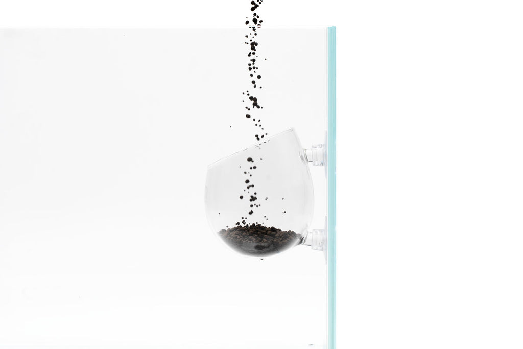 Ultum Nature Systems Glass Plant Cup | Shop Equipment - Glass Aqua