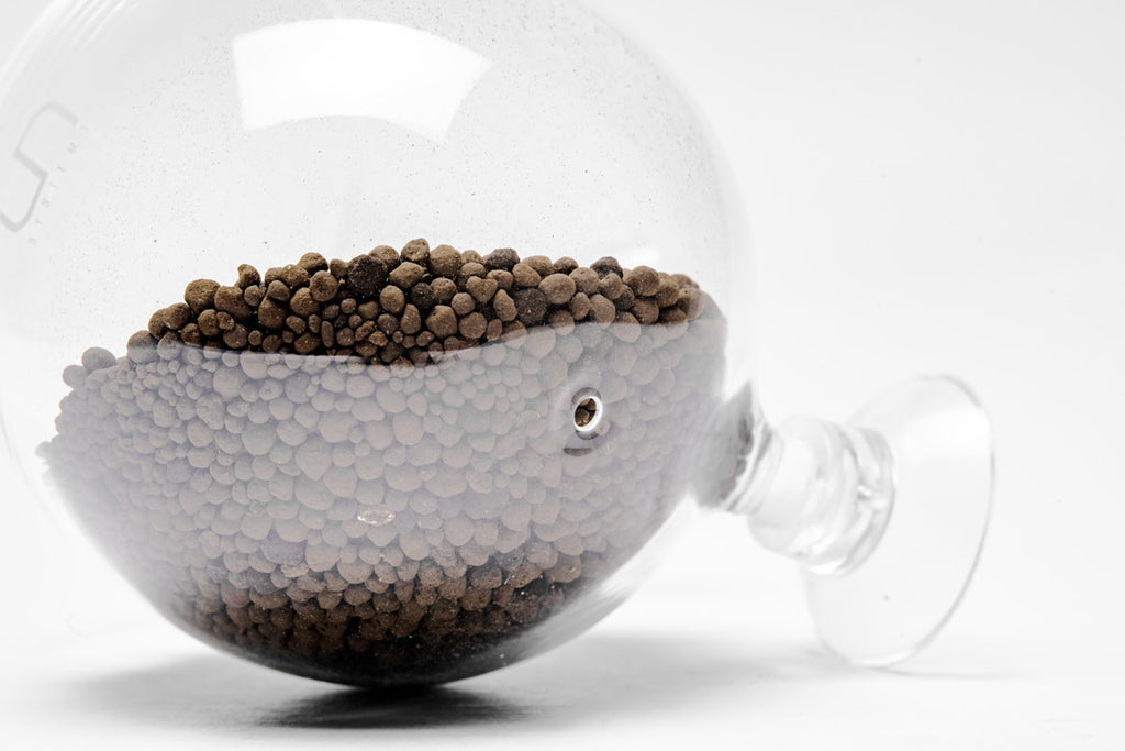 Ultum Nature Systems Glass Plant Cup | Shop Equipment - Glass Aqua
