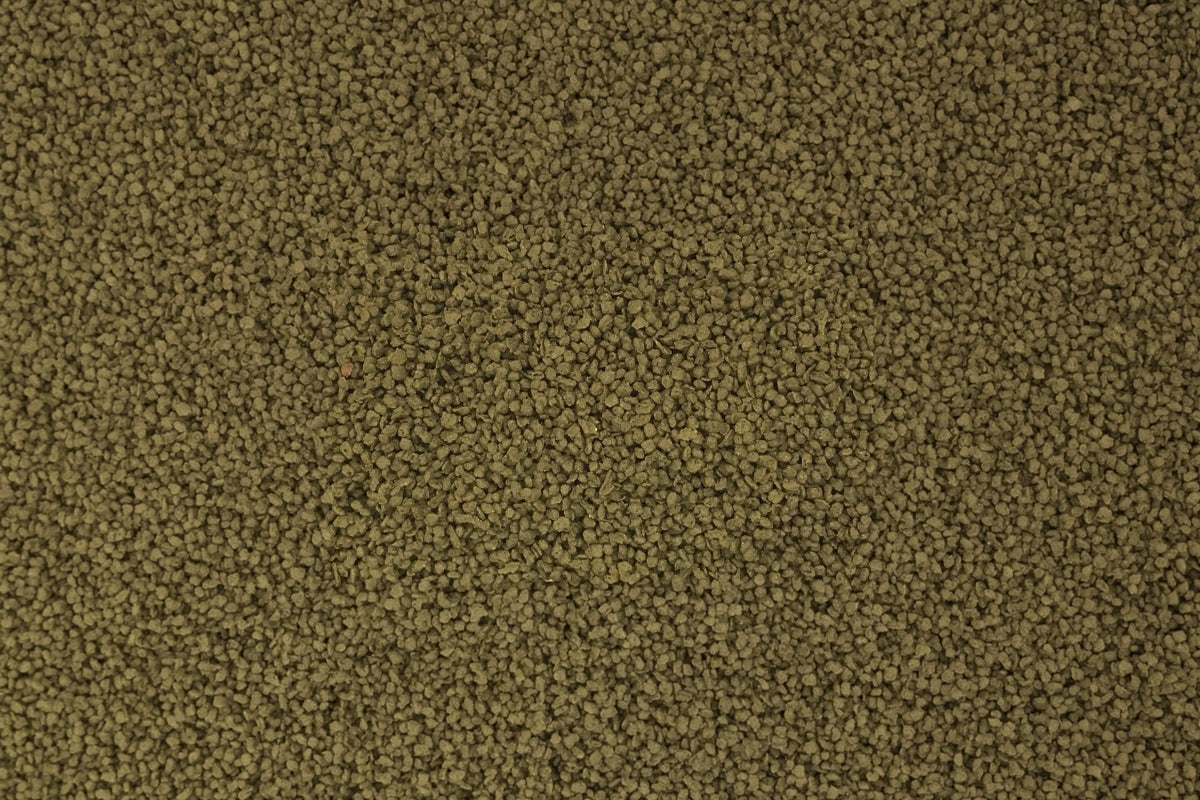 Betta Fish Food - Ultra Fresh Betta Pro Shrimp Patties - Glass Aqua