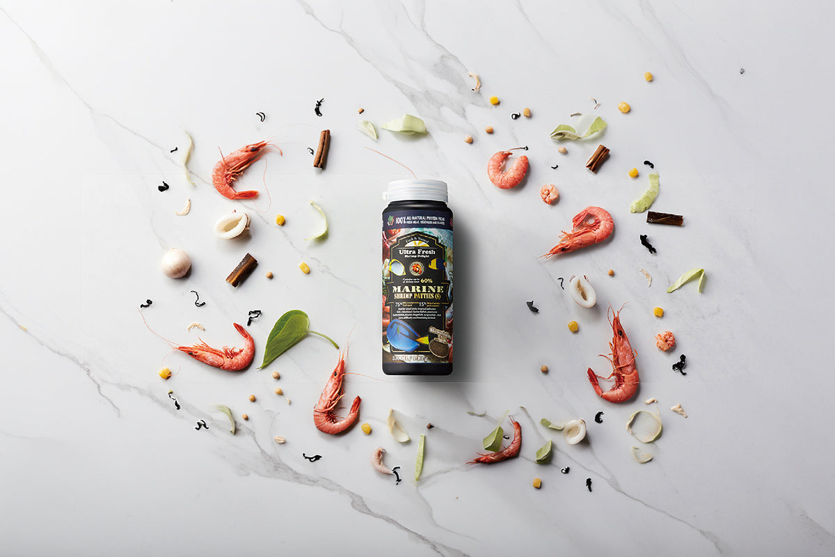 Marine Fish Food - Ultra Fresh Marine Shrimp Patties - Glass Aqua