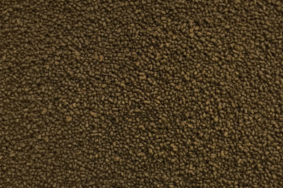 Marine Fish Food - Ultra Fresh Marine Shrimp Patties - Glass Aqua