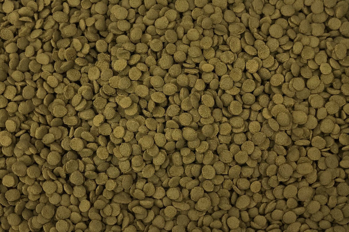 Shrimp Food - Ultra Fresh Shrimp Pro Seafood Patties - Glass Aqua