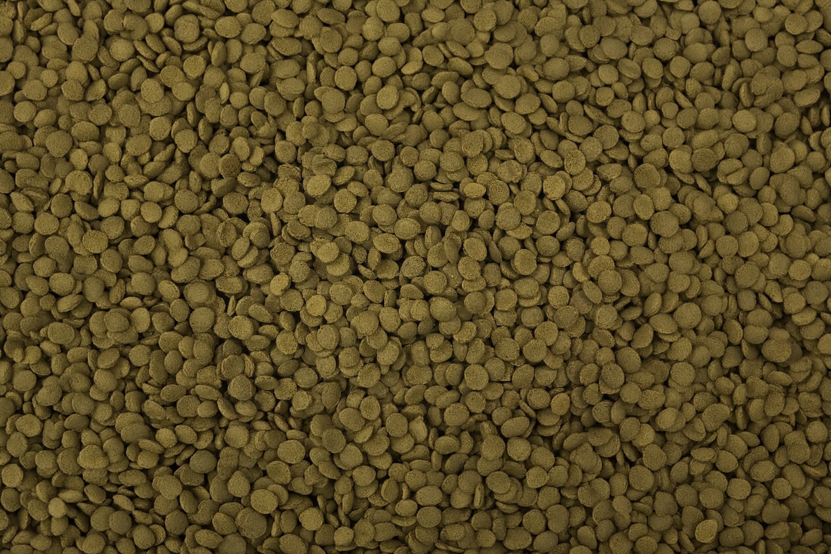 Algae Eater & Bottom Feeder Food - Ultra Fresh Shrimp & Vegetable Pie - Glass Aqua