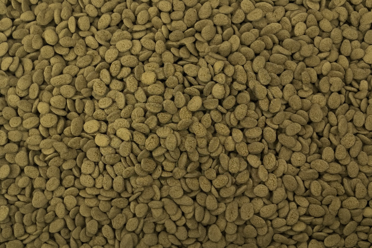 Algae Eater & Bottom Feeder Food - Ultra Fresh Shrimp & Vegetable Pie - Glass Aqua