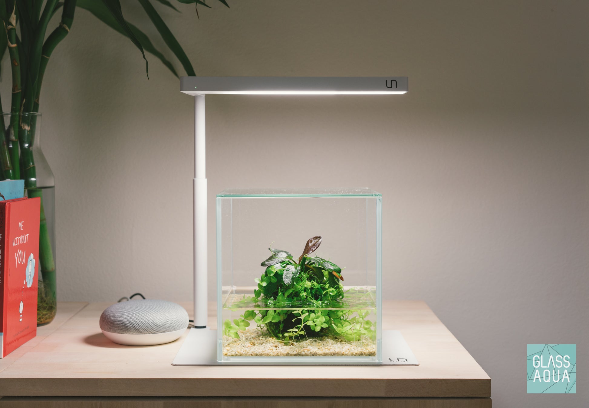 UNS Cube Aquarium & Glass Lid Bundle