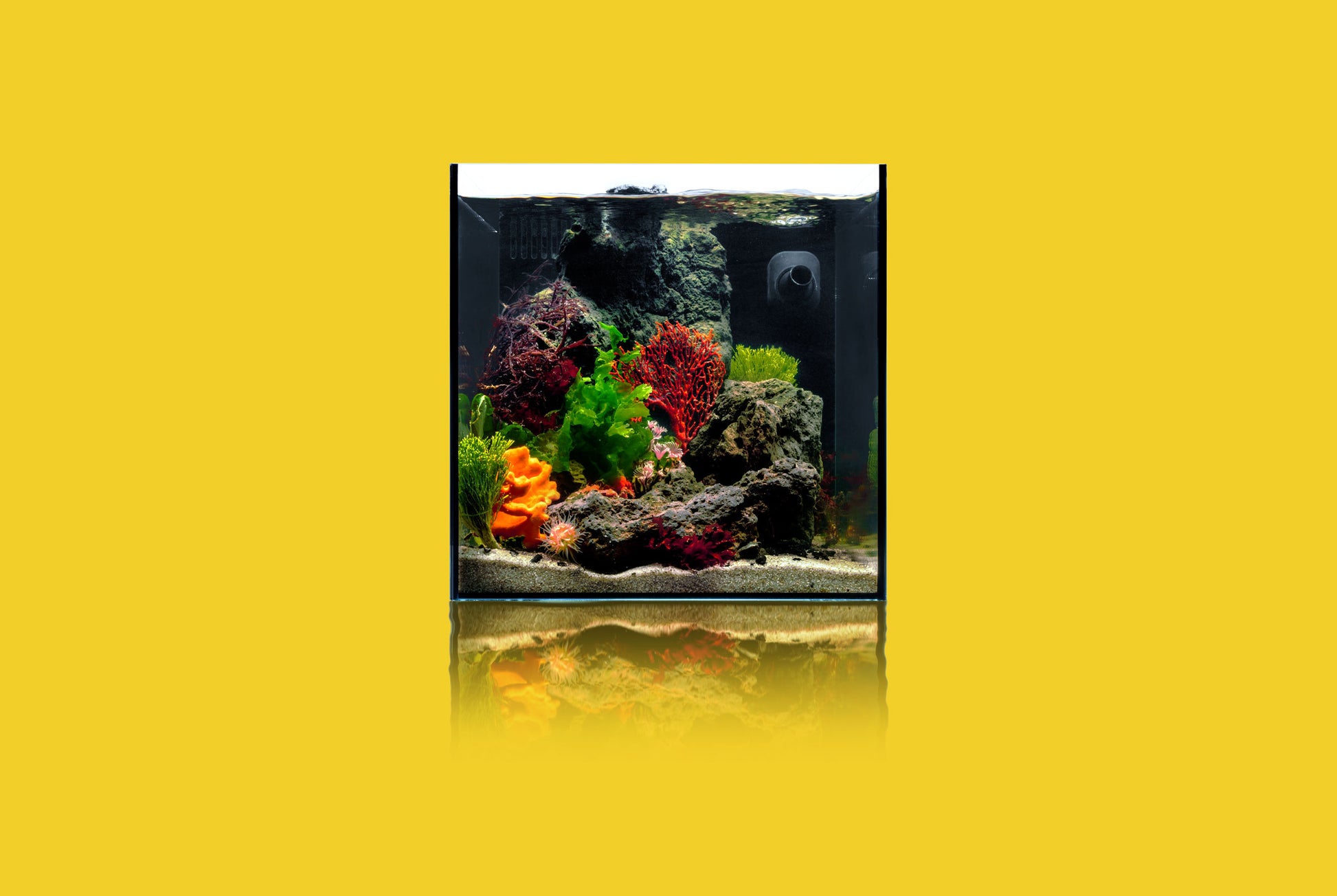 Reef Aquarium Starter Kit - Ultum Nature Systems and Chihiros Kit | Shop Glass Aqua