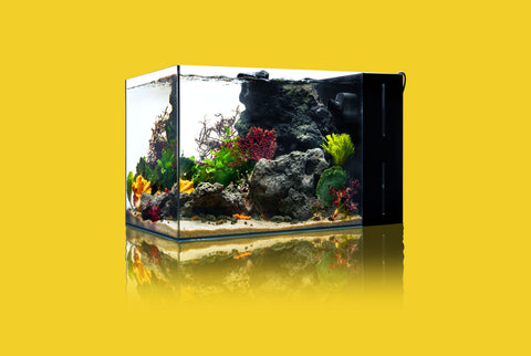 Reef Aquarium Starter Kit - Ultum Nature Systems and Chihiros Kit | Shop Glass Aqua