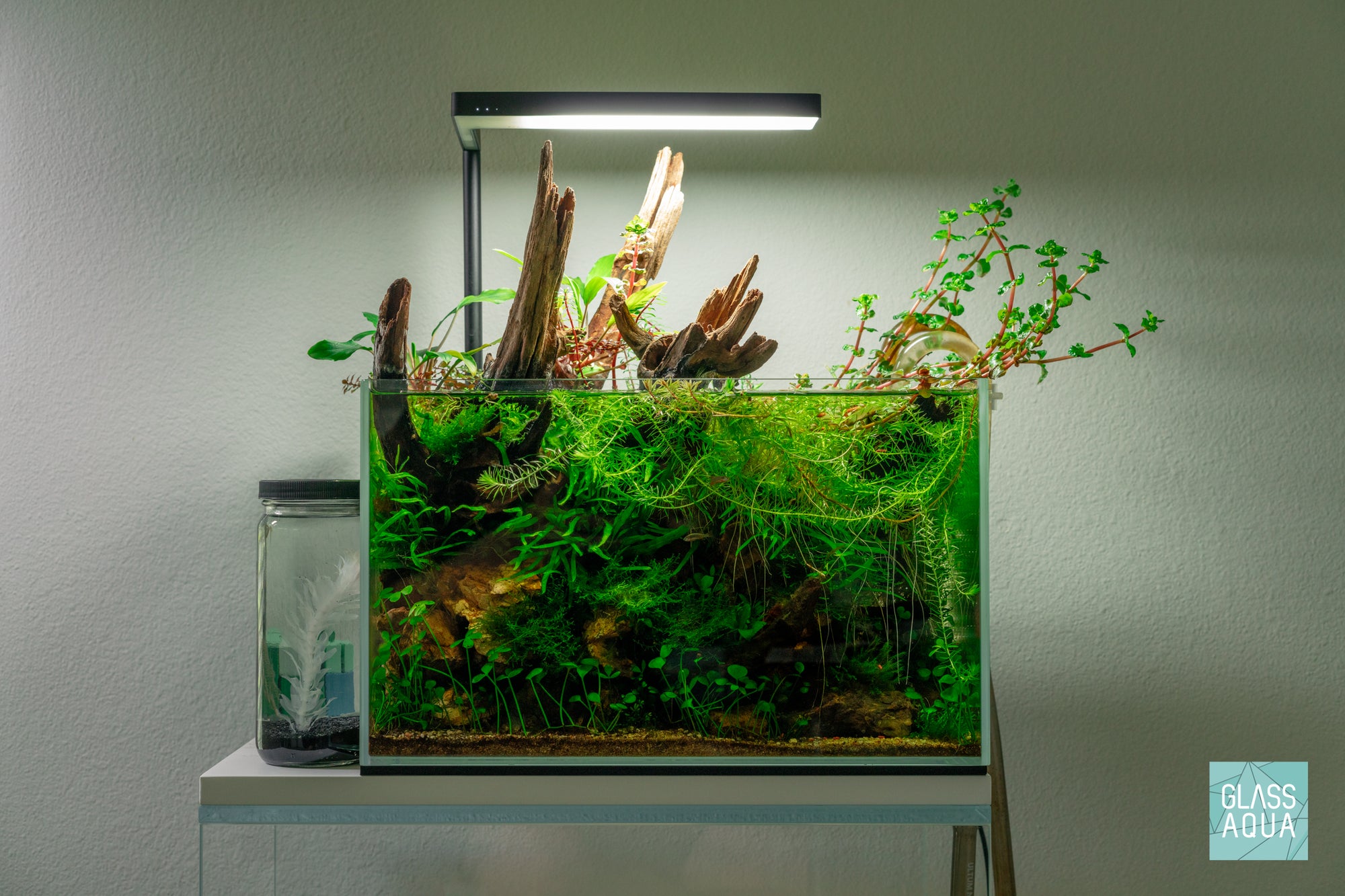 Shop Planted Aquarium Malaysian Driftwood Hardscape - Glass Aqua