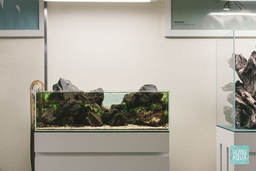 Ultum Nature Systems Rimless Low Shallow Glass Aquarium Tank
