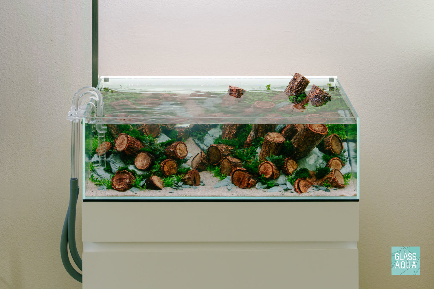 Planted Ultum Nature Systems 60S Shallow Rimless Aquarium