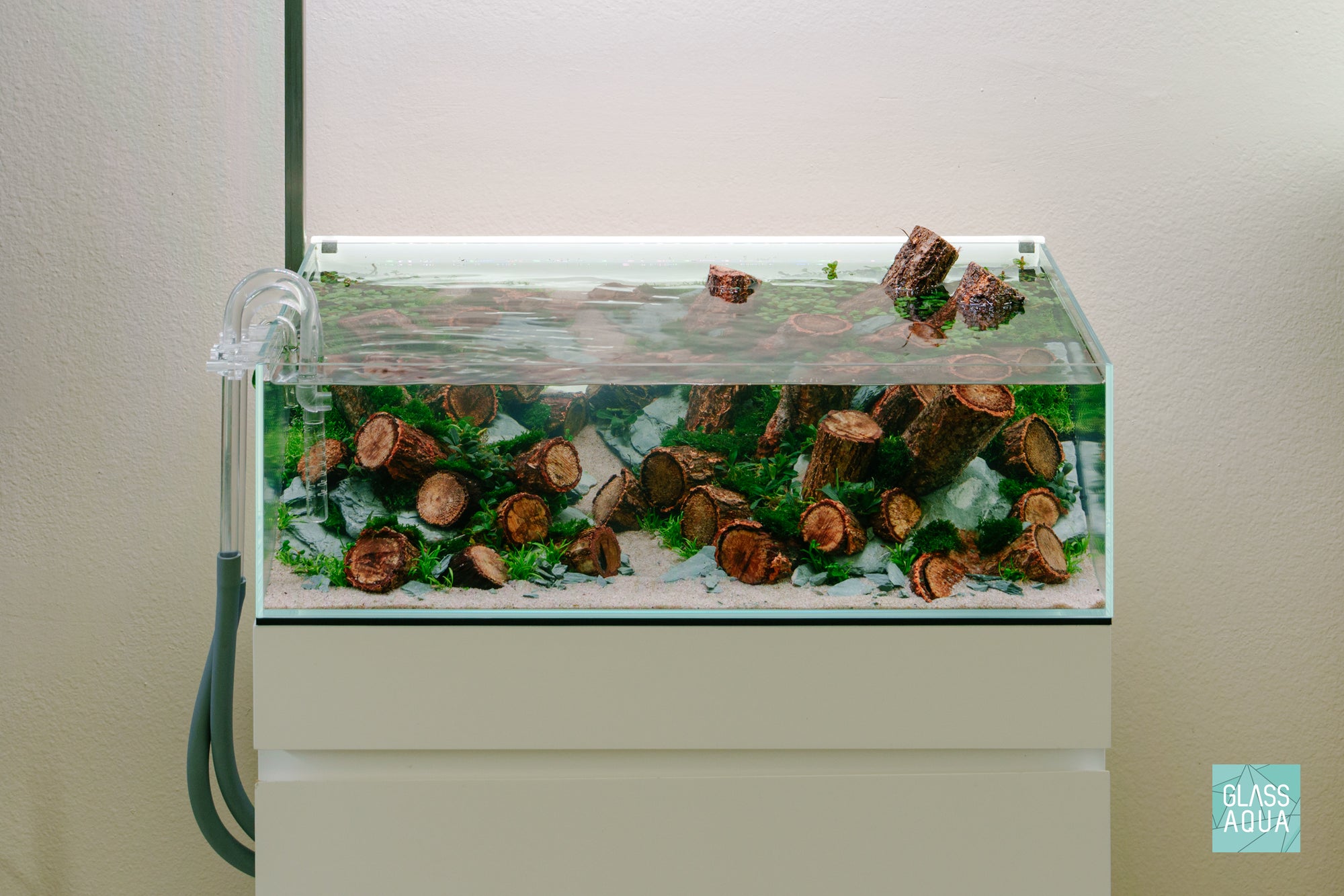 Planted Ultum Nature Systems 60S Shallow Rimless Aquarium
