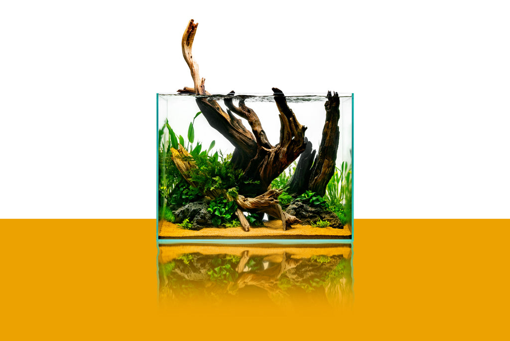 Ultum Nature Systems 60T Tall Rimless Glass Aquarium Tank
