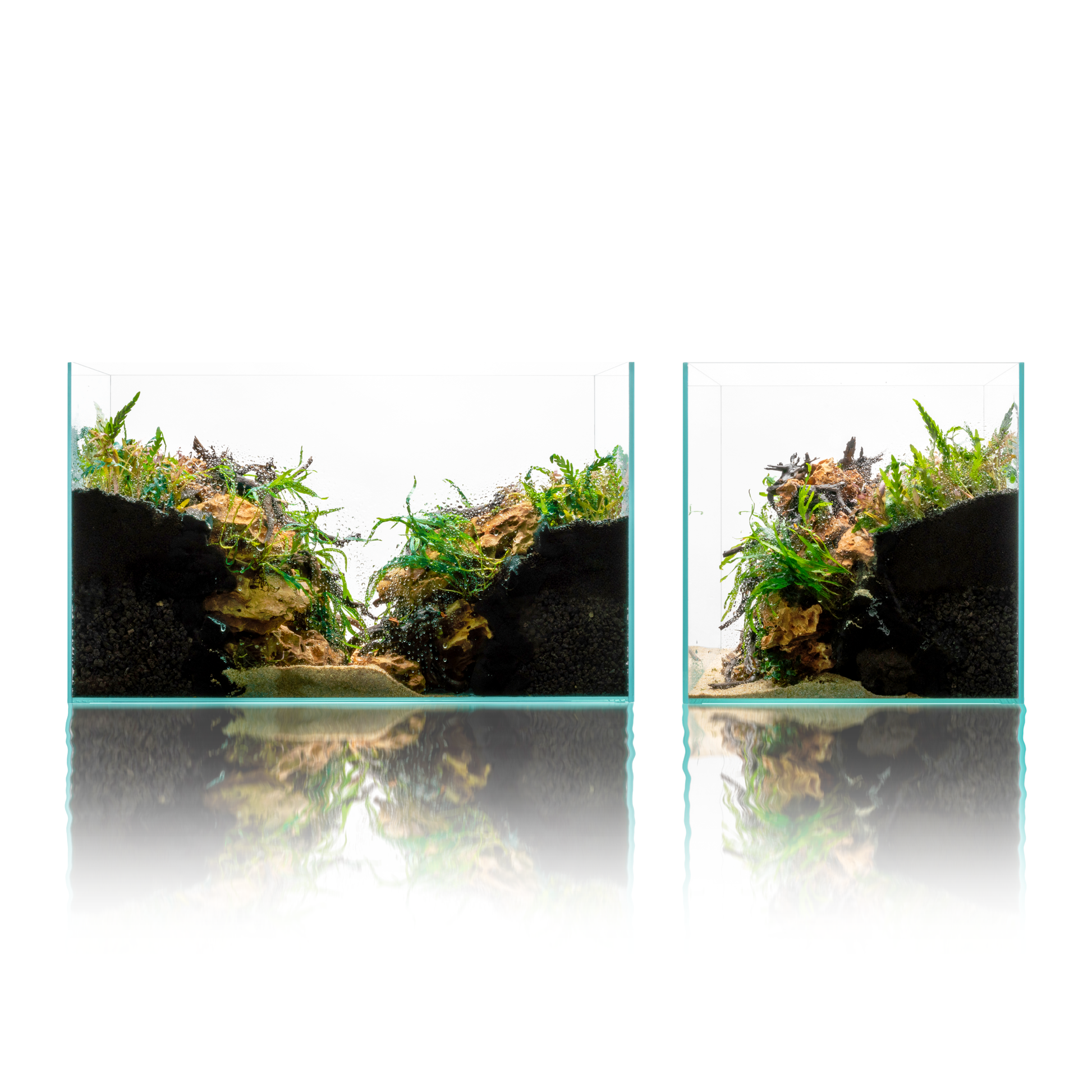 Side angle views of UNS planted aquarium in 20 gallon 60U rimless aquarium