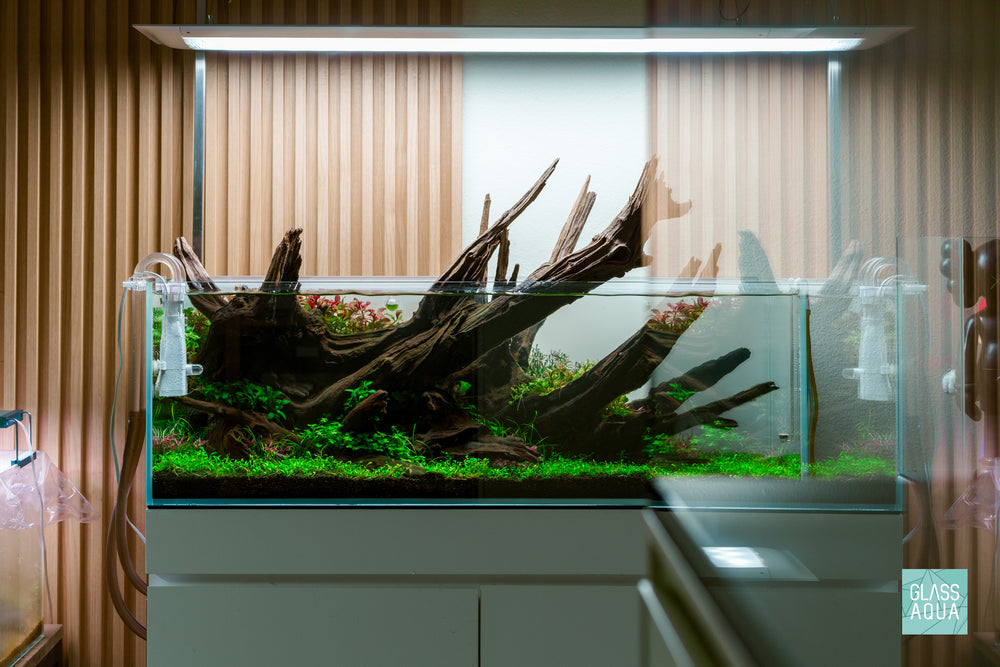 Ultum Nature Systems UNS 90L 20 gallon Long Rimless Glass Aquarium Tank Nature Aquarium Aquascape