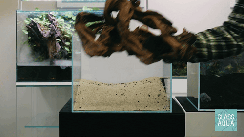 Ultum Nature Systems UNS Controbond and Controlock Aquarium Hardscape Bonding Adhesive