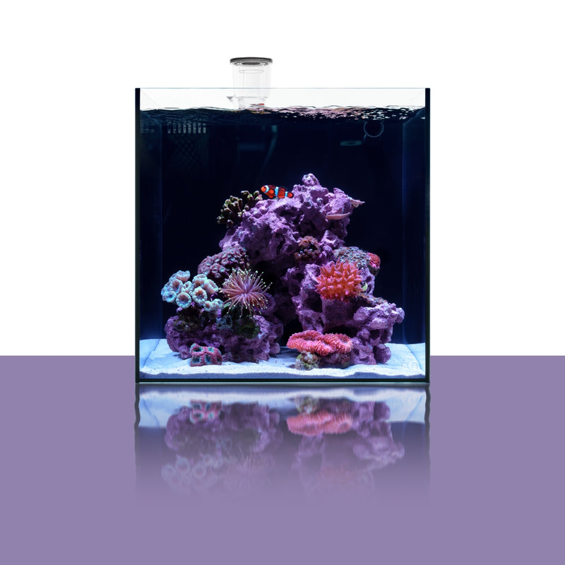 Build Your Own Aquarium Kit - Nano Reef Tank - Glass Aqua