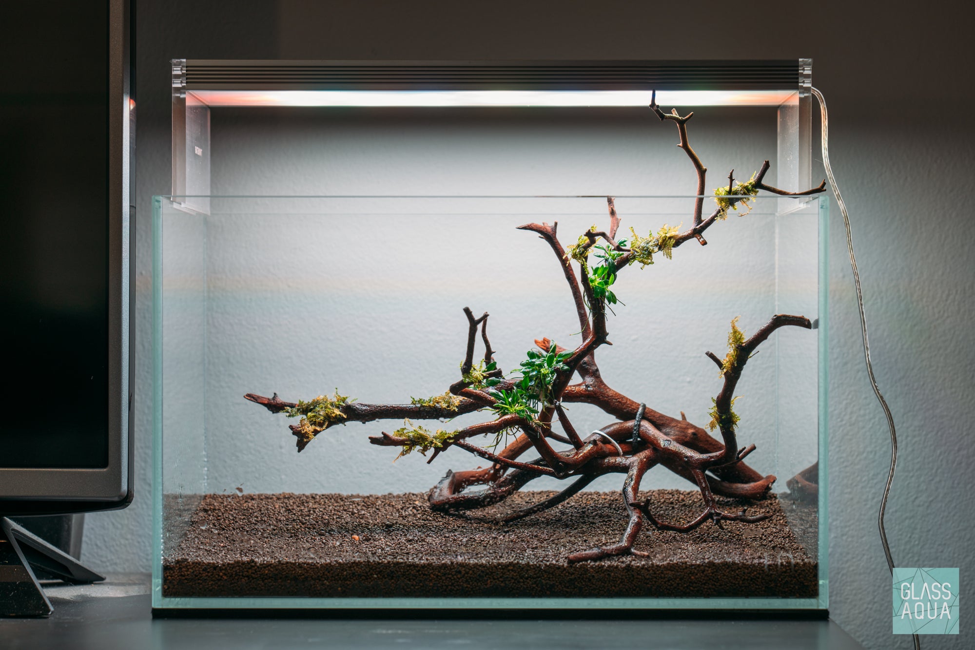 Setting up a planted UNS 5N aquarium