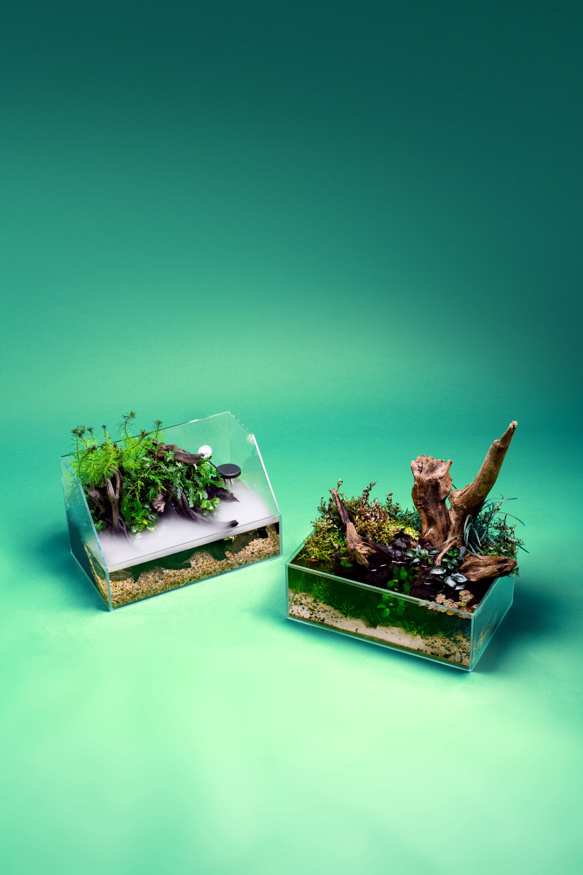 UNS Paludarium Tank System - Glass Aqua