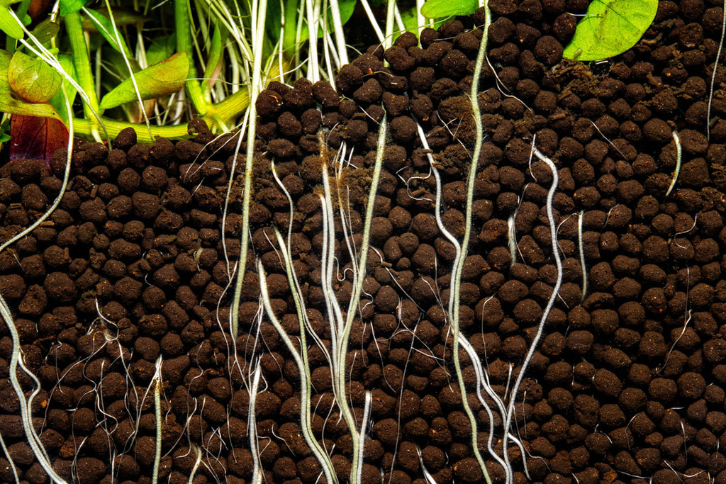 Ultum Nature Systems Controbase | Shop Aquarium Substrate - Glass Aqua
