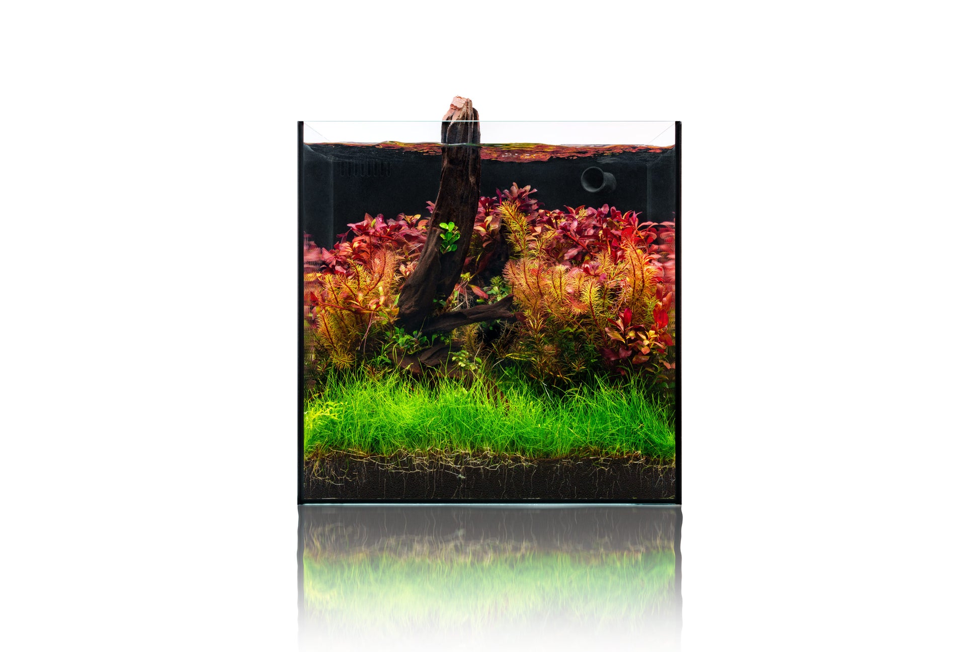 UNS Dual All-In-One Glass Aquarium Tank - Glass Aqua
