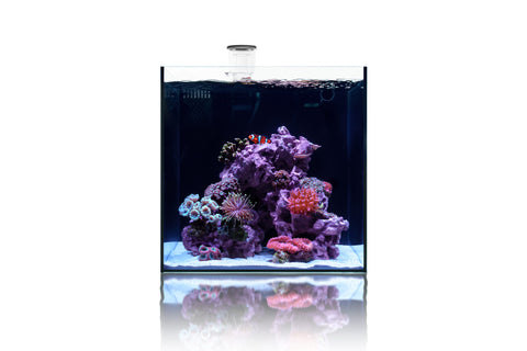 UNS Dual All-In-One Glass Aquarium Tank - Glass Aqua