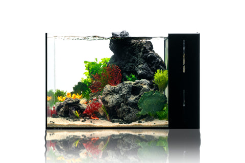 UNS Dual All-In-One Glass Aquarium Tank - Glass Aqua