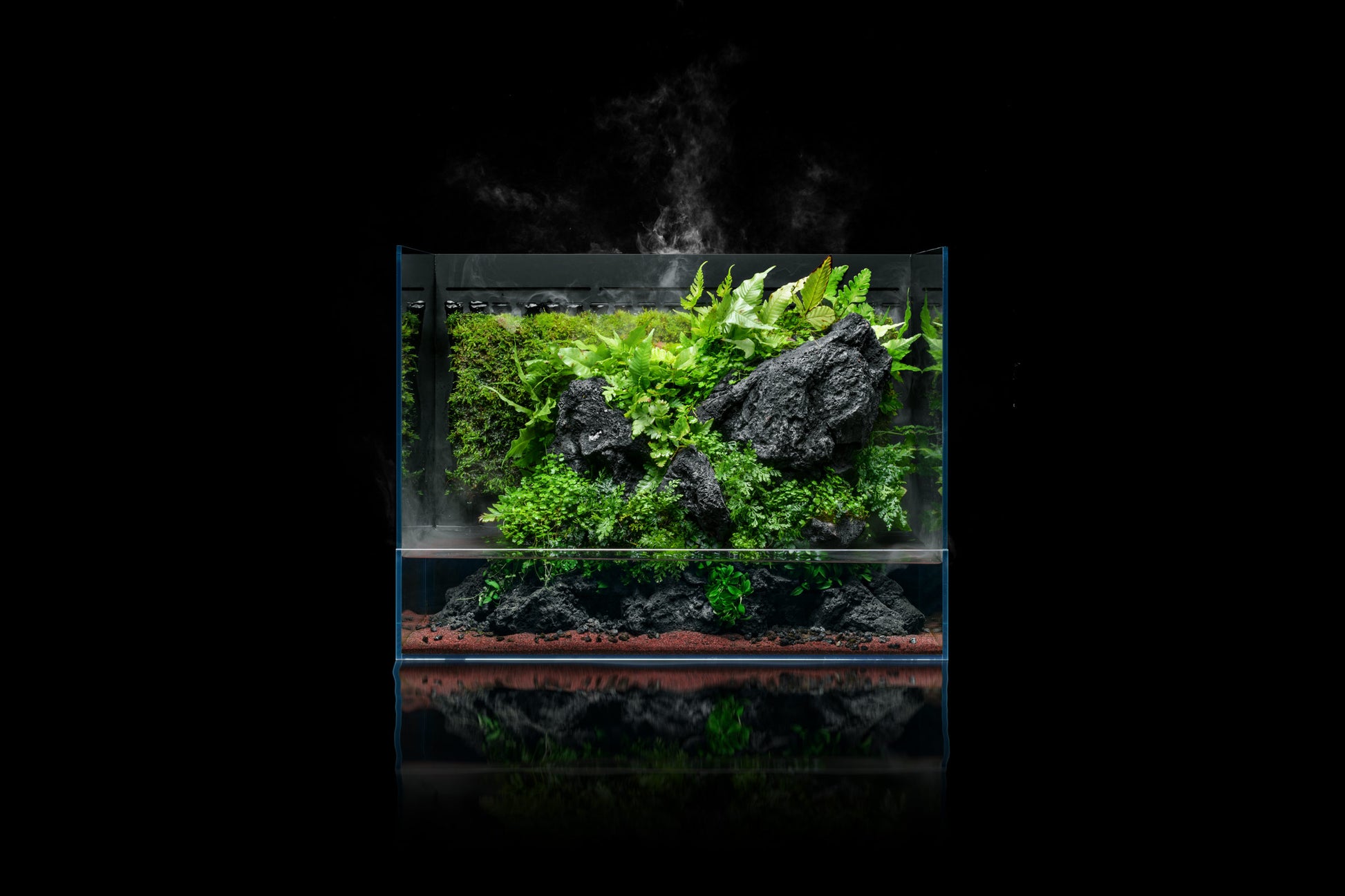 UNS Foresta Integrated Paludarium - 60E - Glass Aqua